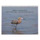 Recherche de perroquet calendriers 2026