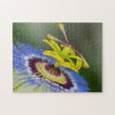 Search for passion flower puzzles Flowers