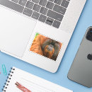Recherche de orangs outans autocollants Primates