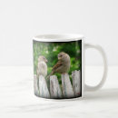 Search for friendship is mugs Bird