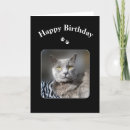 Search for blue cat birthday cards Kitty