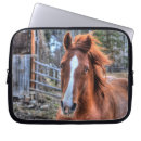Search for farm photo electronics Horses