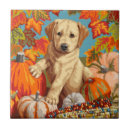 Search for labrador puppy tiles Animals