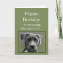 Search for dog sayings cards Funny