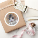 Search for cat photo stickers Cats