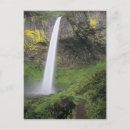 Search for jamie postcards Usa