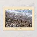 Search for rhode island postcards Waves