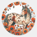 Search for appaloosas stickers Appy