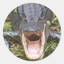 Recherche de steve autocollants Américain