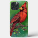 Search for cardinal iphone cases Beautiful