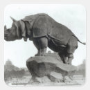 Search for white rhino stickers Animal