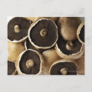 Search for medium group of objects postcards Close up