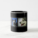 Recherche de alaskan malamute tasses Huskies