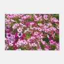 Recherche de pétunia Botanique