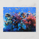 Search for ecosystem postcards Ocean