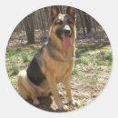 Recherche de germanique autocollants Animaux