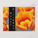 Search for happy birthday tulips postcards Red