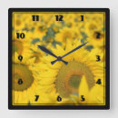 Search for sunflower clocks Floral
