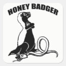 Search for honey badger stickers Funny