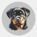 Search for rottweiler puppy stickers Cute