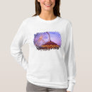 Recherche de manège tshirts Amusement