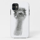 Search for ostrich cases Africa