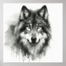 Search for timber wolves posters Grey