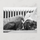 Search for tired photography Cute