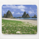 Recherche de littoral tapis souris Mer