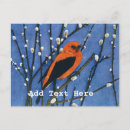 Search for vintage male postcards Red