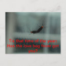 Search for love bug postcards Bugs