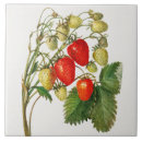 Recherche de fraise carreaux Vintage