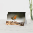 Search for robin birthday cards Nature