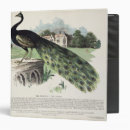 Search for gallery binders 19th