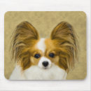Recherche de chien papillon tapis souris Phalène