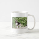 Search for springer spaniels mugs Puppy