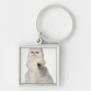 Search for persian cat keychains Cats