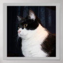 Recherche de posture posters Animal