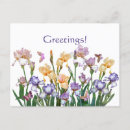 Recherche de iris cartes postales Violet