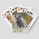 Recherche de se reposer jeux de cartes Chiot