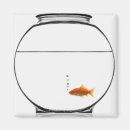 Recherche de cuvette de poissons L'eau