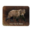 Search for kodiak magnets Wildlife