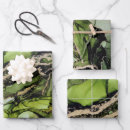 Search for jade green Chic