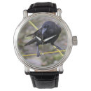 Recherche de crow watches Oiseau