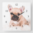 Search for french bulldog clocks Animal