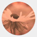 Recherche de marguerite vintage autocollants Marguerie