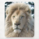 Recherche de lion tapis souris Wildlife