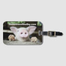 Search for funny travel accessories Tag