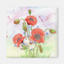 Search for poppy magnets Plants