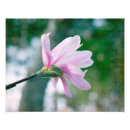 Search for ballerina painting posters Feminine